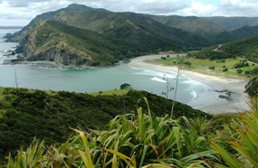 Kiwi can be found in coastal areas