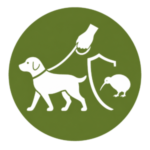 Leashed dog kept separate from a kiwi